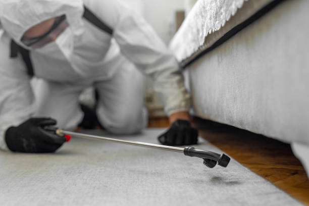 Professional Termite Control technician working in Lemont, IL