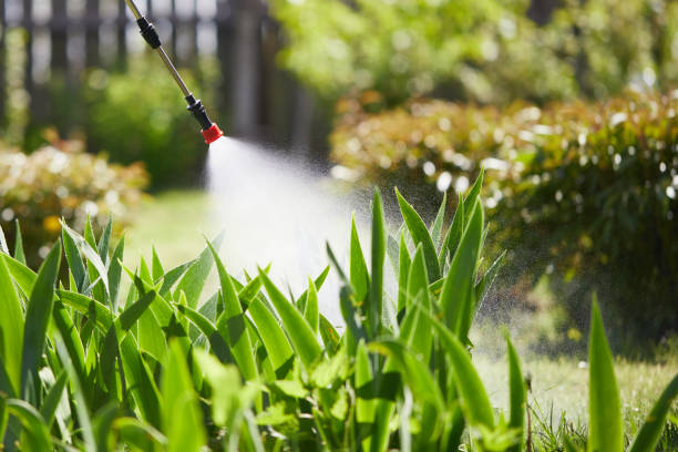24/7 Emergency Termite Control experts in Lemont, IL
