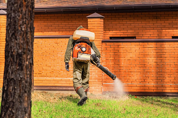 Top rated local Termite Control specialists in Lemont, IL